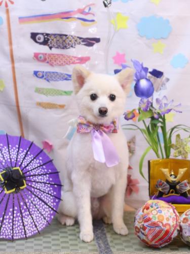 20240518しゅんくん 